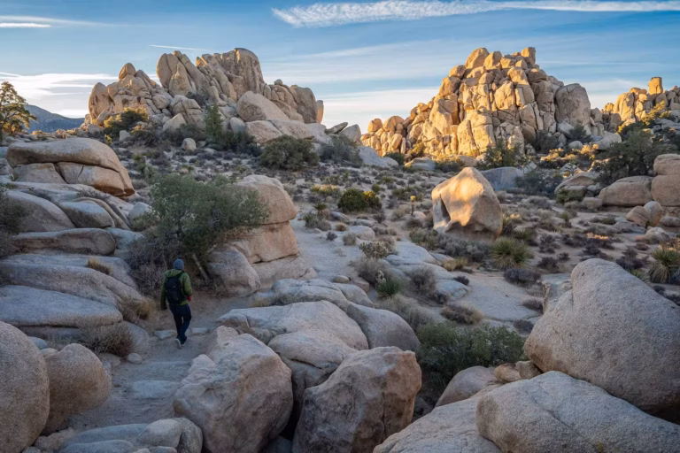 joshua tree hike hidden valley